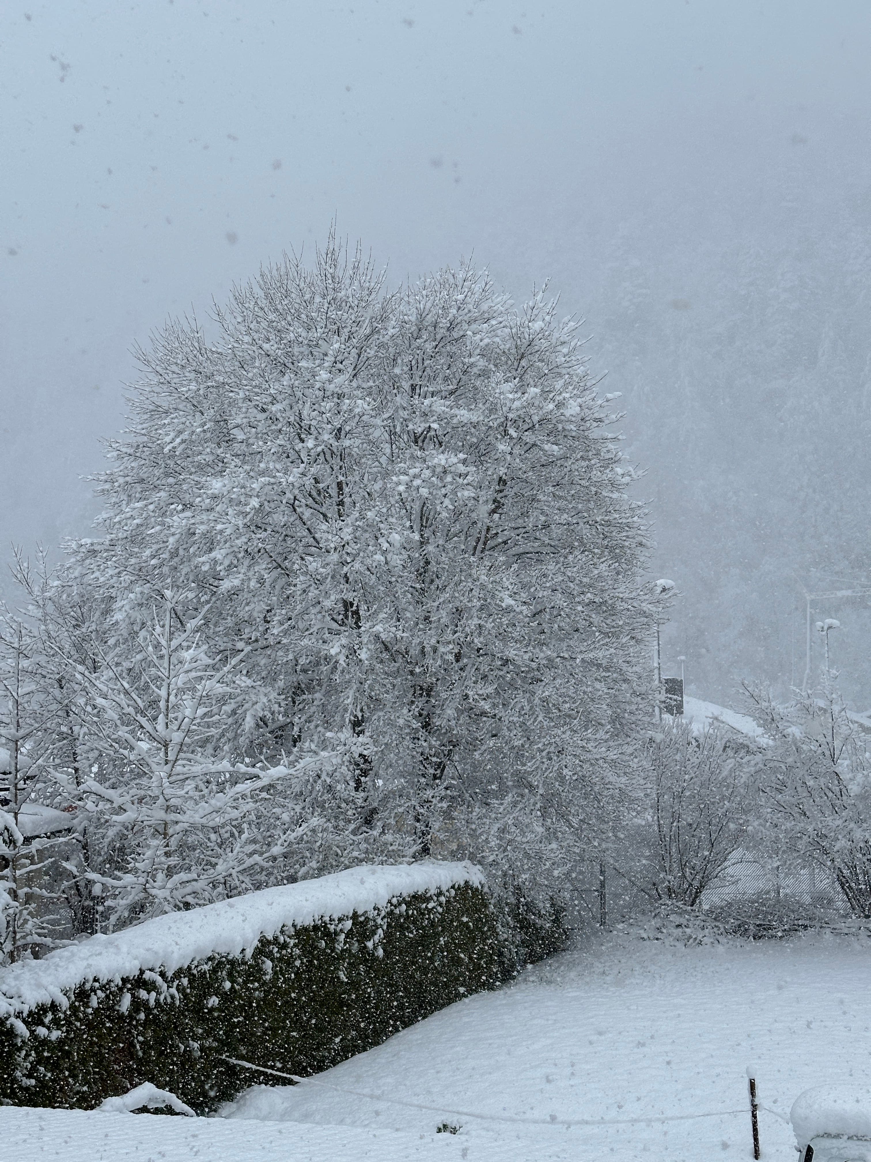 Last-Minute Ski Stay 3