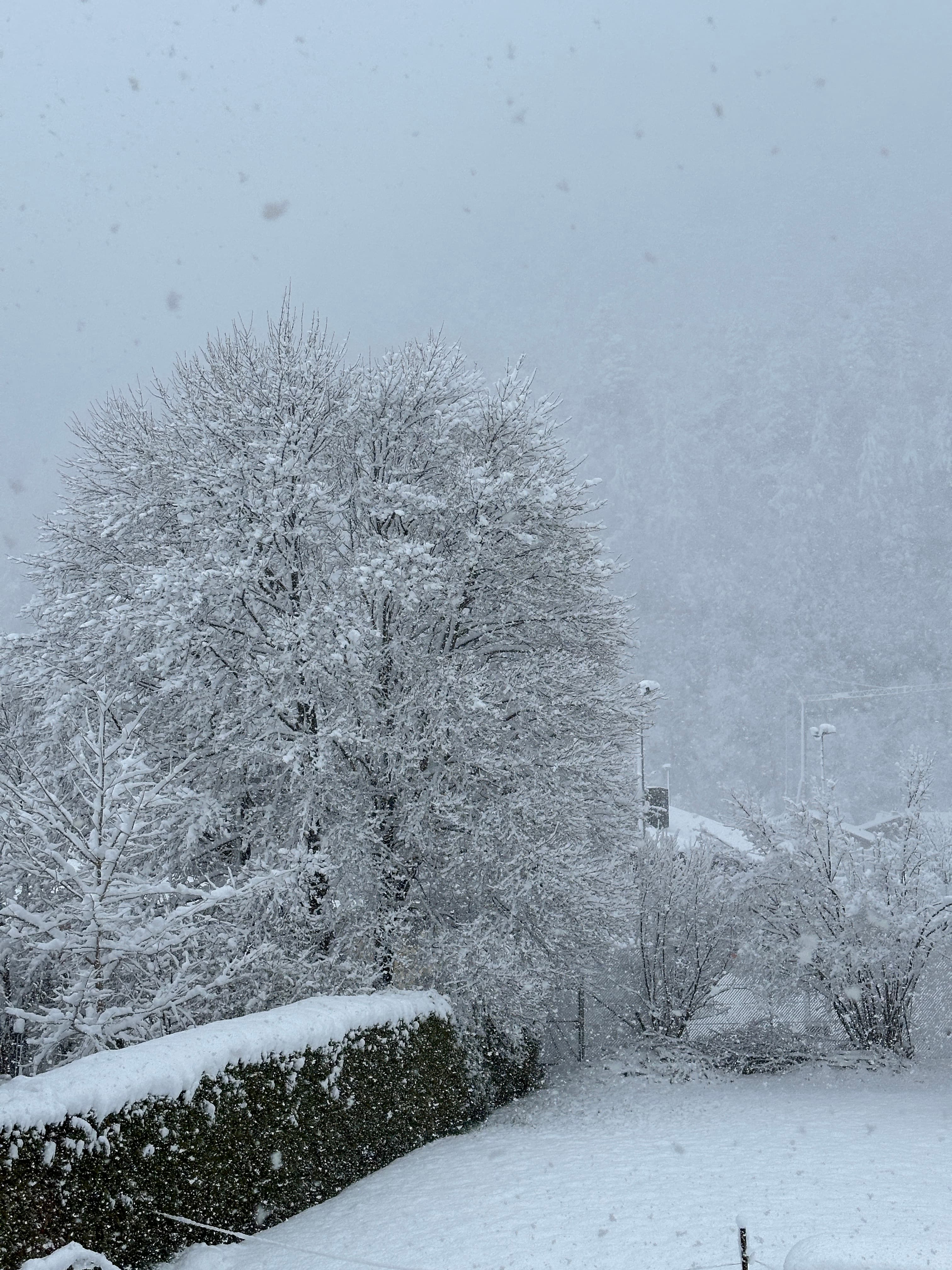 Snow Escape for Two 3