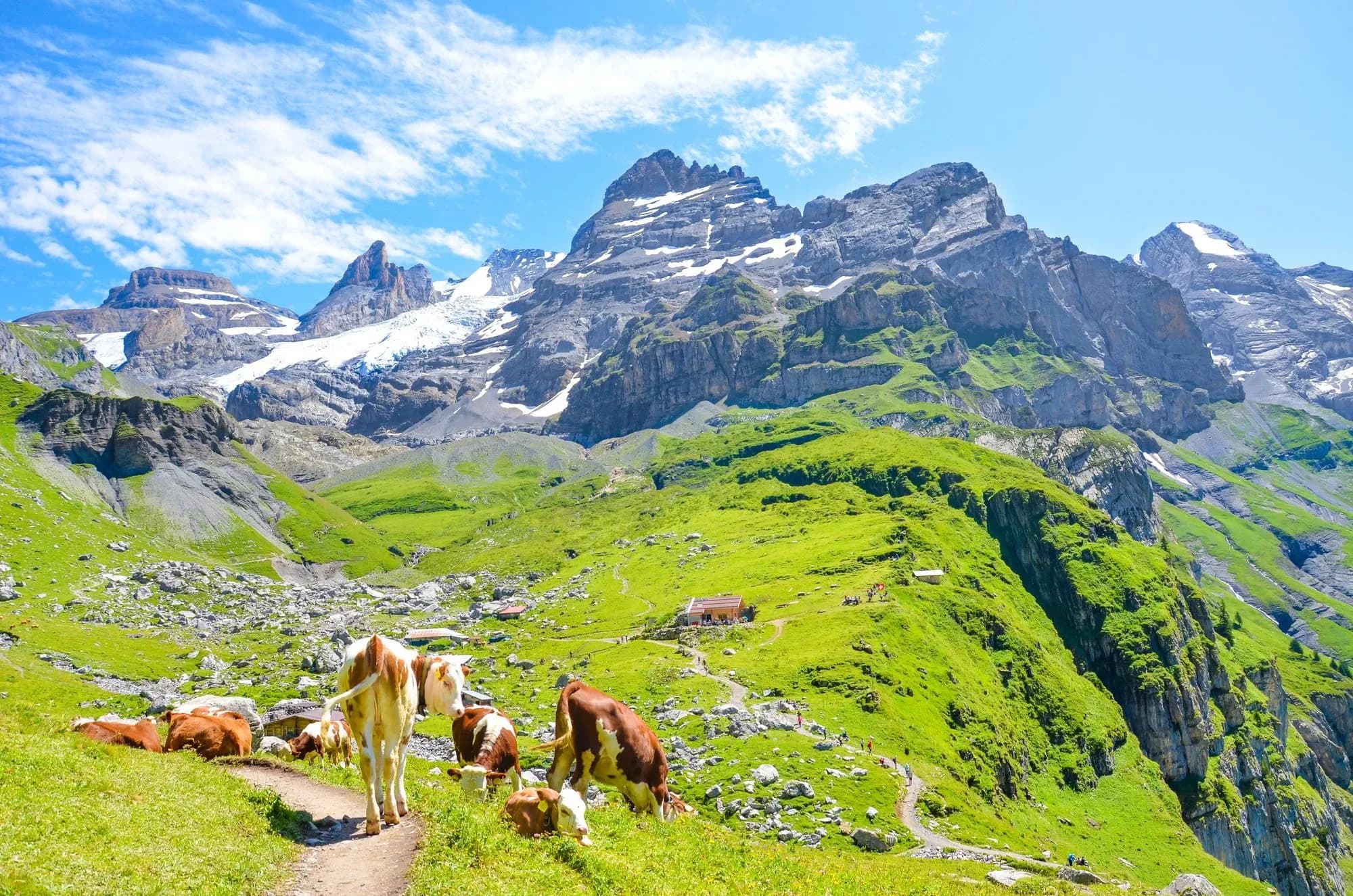 Hotel Rebstock Meiringen-Hasliberg